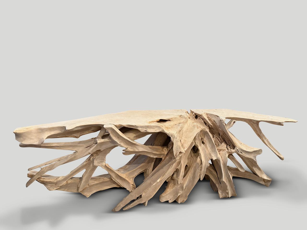 Impressive natural organic formed console table made from a hundred year old reclaimed teak root. Fabulous on both sides. Glass or lucite can be added, if preferred on the top section. Finished with a light white wash revealing the beautiful wood