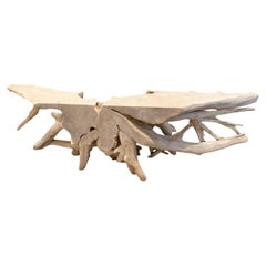 Andrianna Shamaris Sculptural Bleached Teak Root Console Table