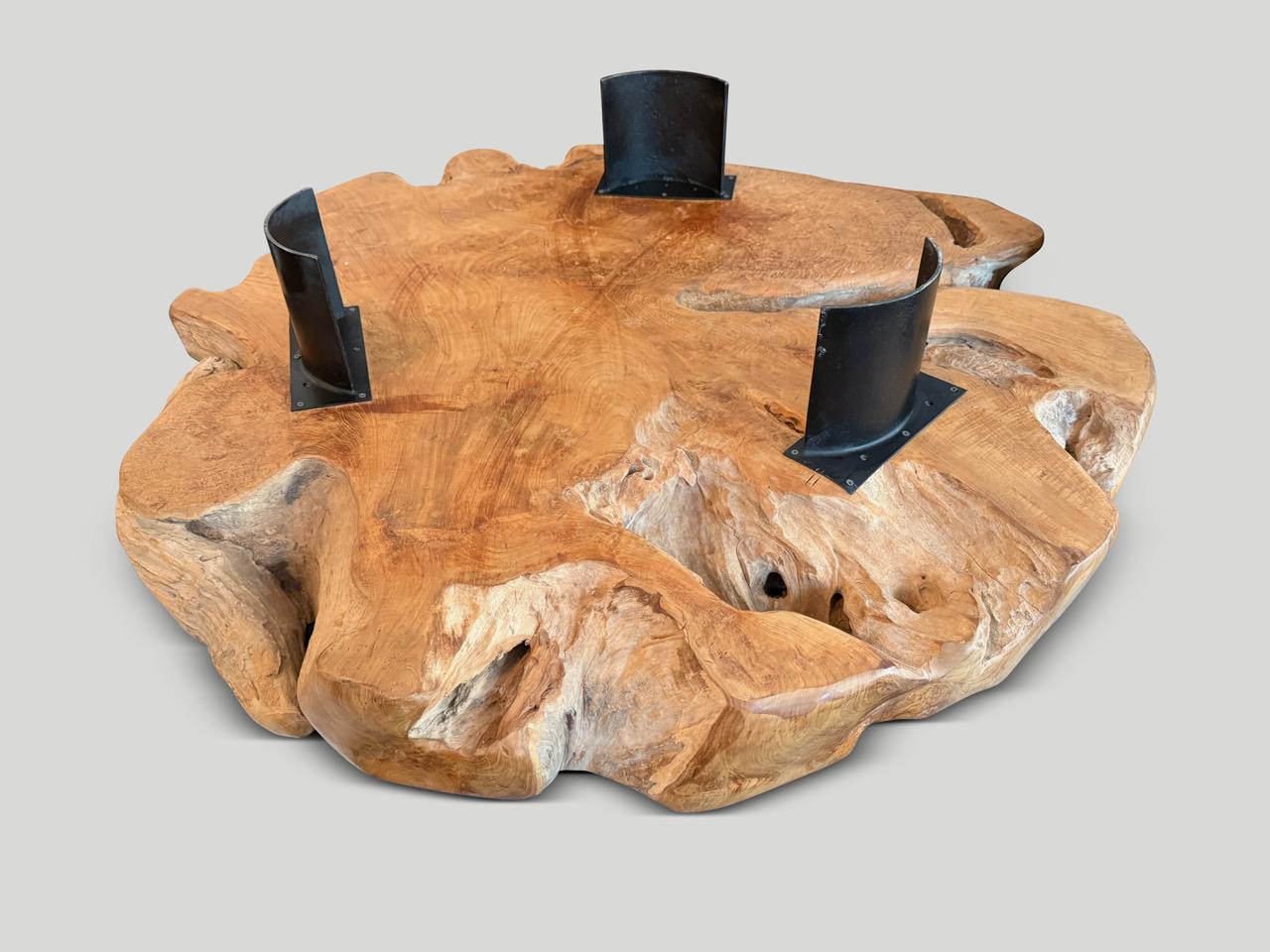 Andrianna Shamaris Sculptural Century Old Teak Wood Coffee Table For Sale 1
