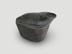 Andrianna Shamaris Sculptural Charred Suar Wood Coffee Table or Side Table