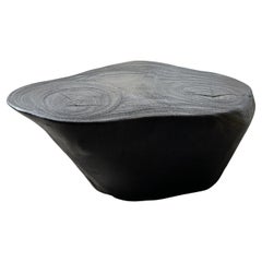 Andrianna Shamaris Sculptural Charred Suar Wood Coffee Table or Side Table