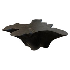 Andrianna Shamaris Sculptural Charred Teak Wood Coffee Table