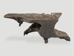 Andrianna Shamaris Sculptural Charred Teak Wood Root Console Table