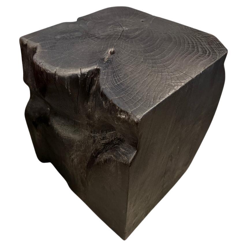 Andrianna Shamaris Sculptural Charred Teak Wood Side Table