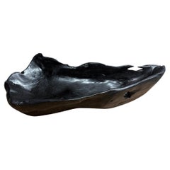 Andrianna Shamaris Sculptural Charred Teak Wood Vessel