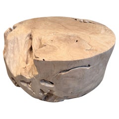Andrianna Shamaris Sculptural Drum Shape Teak Wood Coffee Table