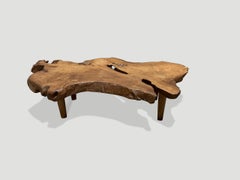 Andrianna Shamaris Sculptural Modern Organic Teak Wood Coffee Table