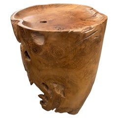 Andrianna Shamaris Sculptural Natural Teak Wood Tray Side Table