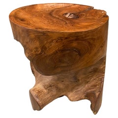 Andrianna Shamaris Sculptural Natural Teak Wood Tray Side Table