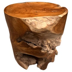 Andrianna Shamaris Sculptural Natural Teak Wood Tray Side Table