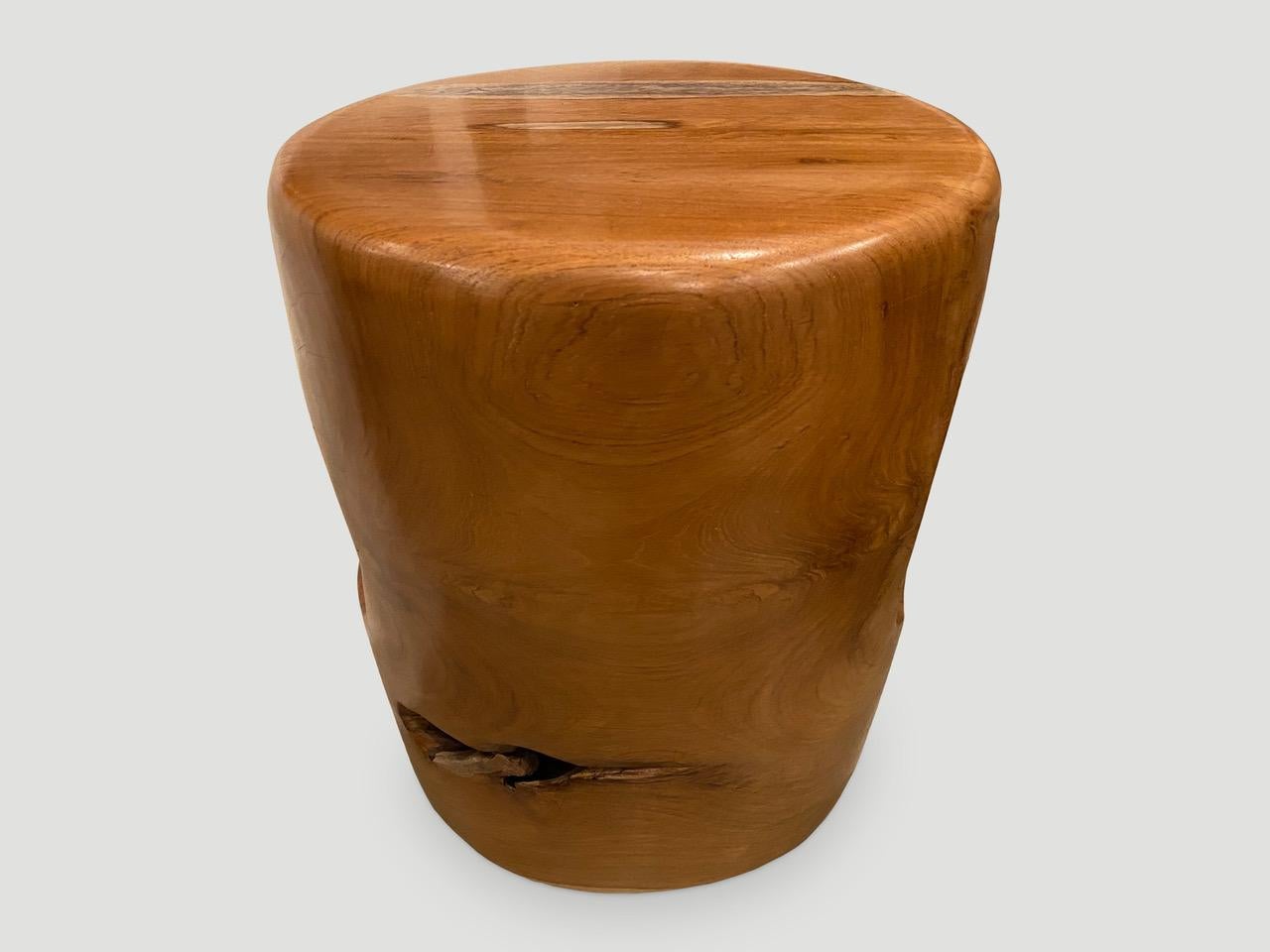 Organic Modern Andrianna Shamaris Sculptural Organic Natural Teak Wood Side Table