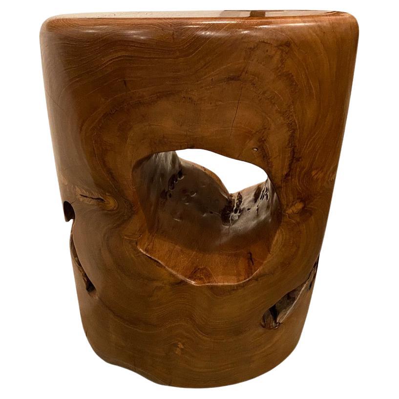 Andrianna Shamaris Sculptural Organic Natural Teak Wood Side Table