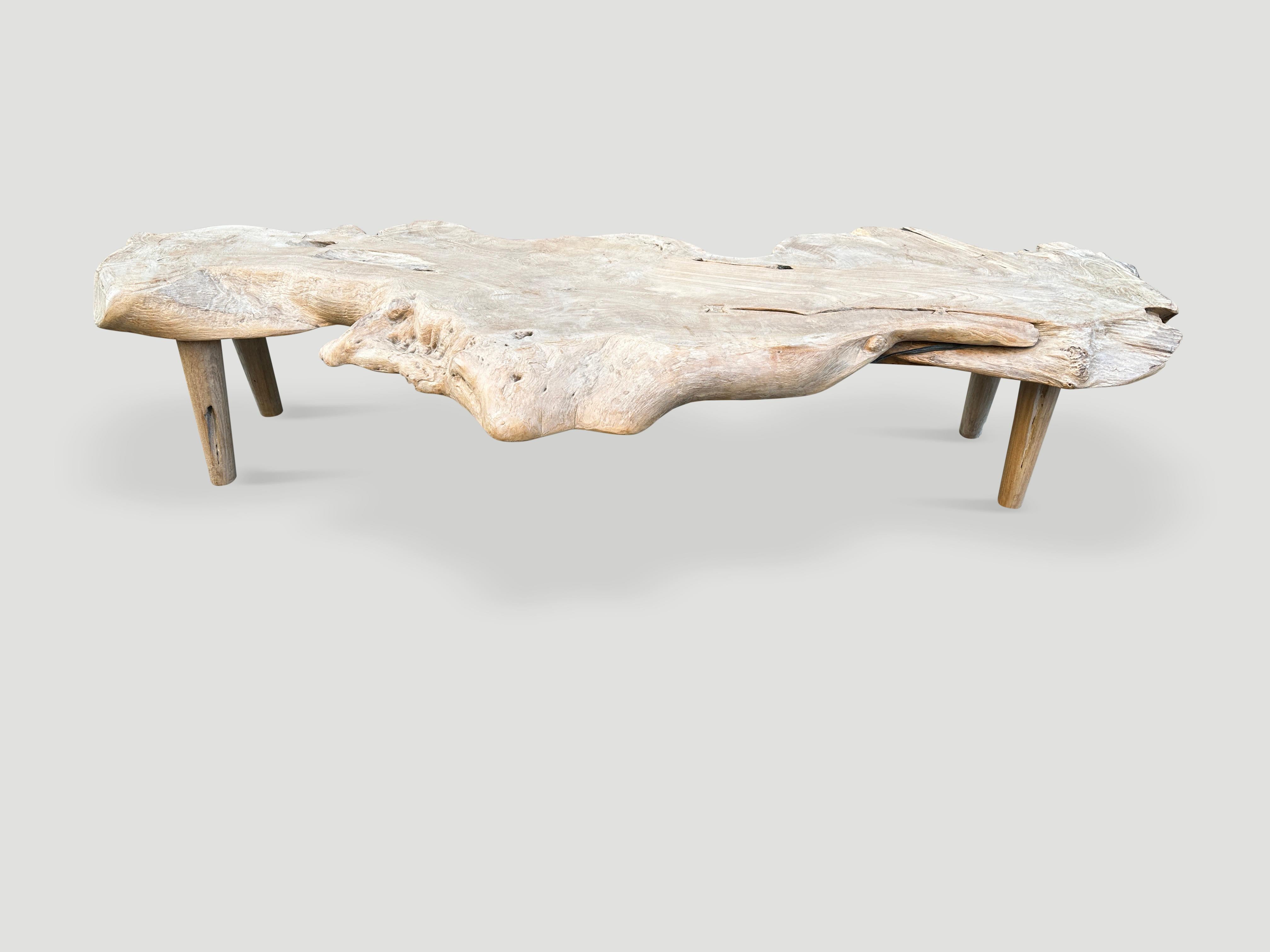 Table basse sculpturale en bois de teck organique Andrianna Shamaris Excellent état - En vente à New York, NY
