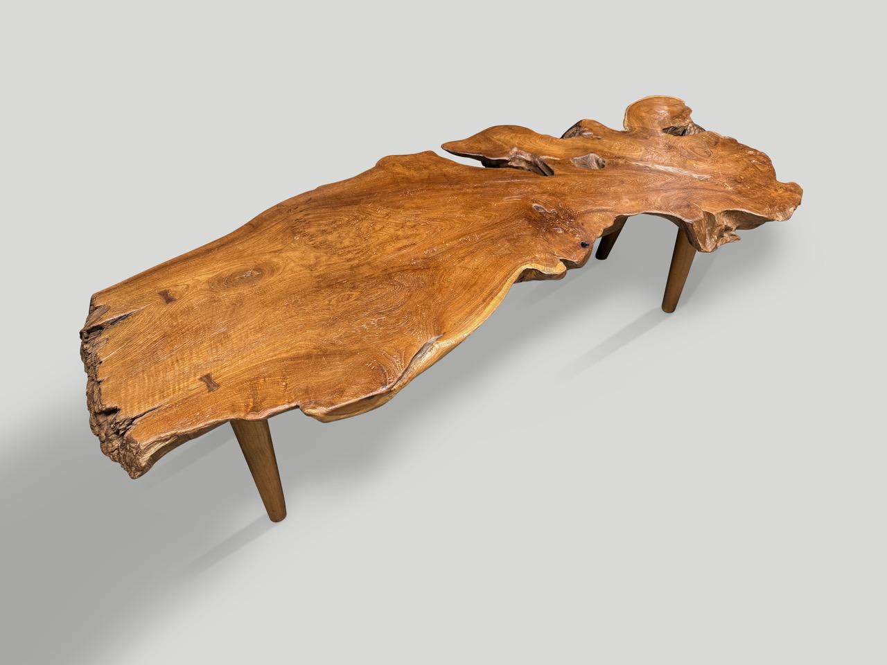 Andrianna Shamaris Sculptural Organic Teak Wood Coffee Table For Sale 1