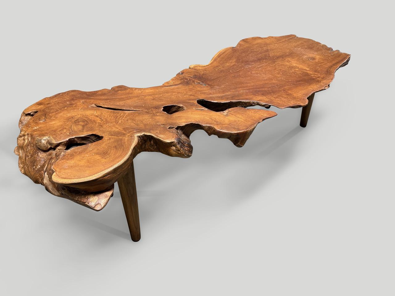 Andrianna Shamaris Sculptural Organic Teak Wood Coffee Table For Sale 2