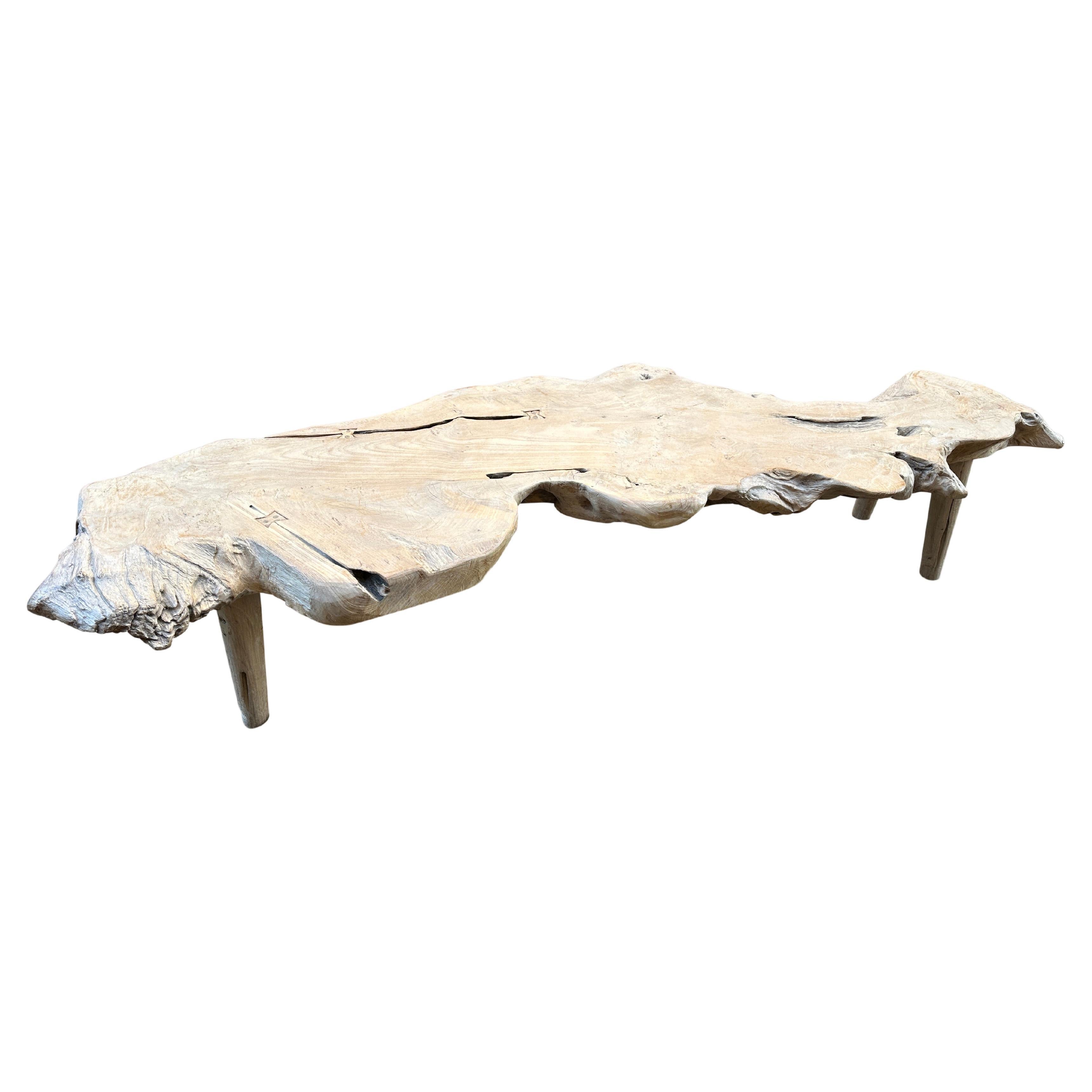 Andrianna Shamaris Sculptural Organic Teak Wood Coffee Table For Sale