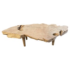 Andrianna Shamaris Sculptural Organic Teak Wood Coffee Table