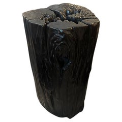 Andrianna Shamaris Sculptural Suar Wood Side Table or Pedestal