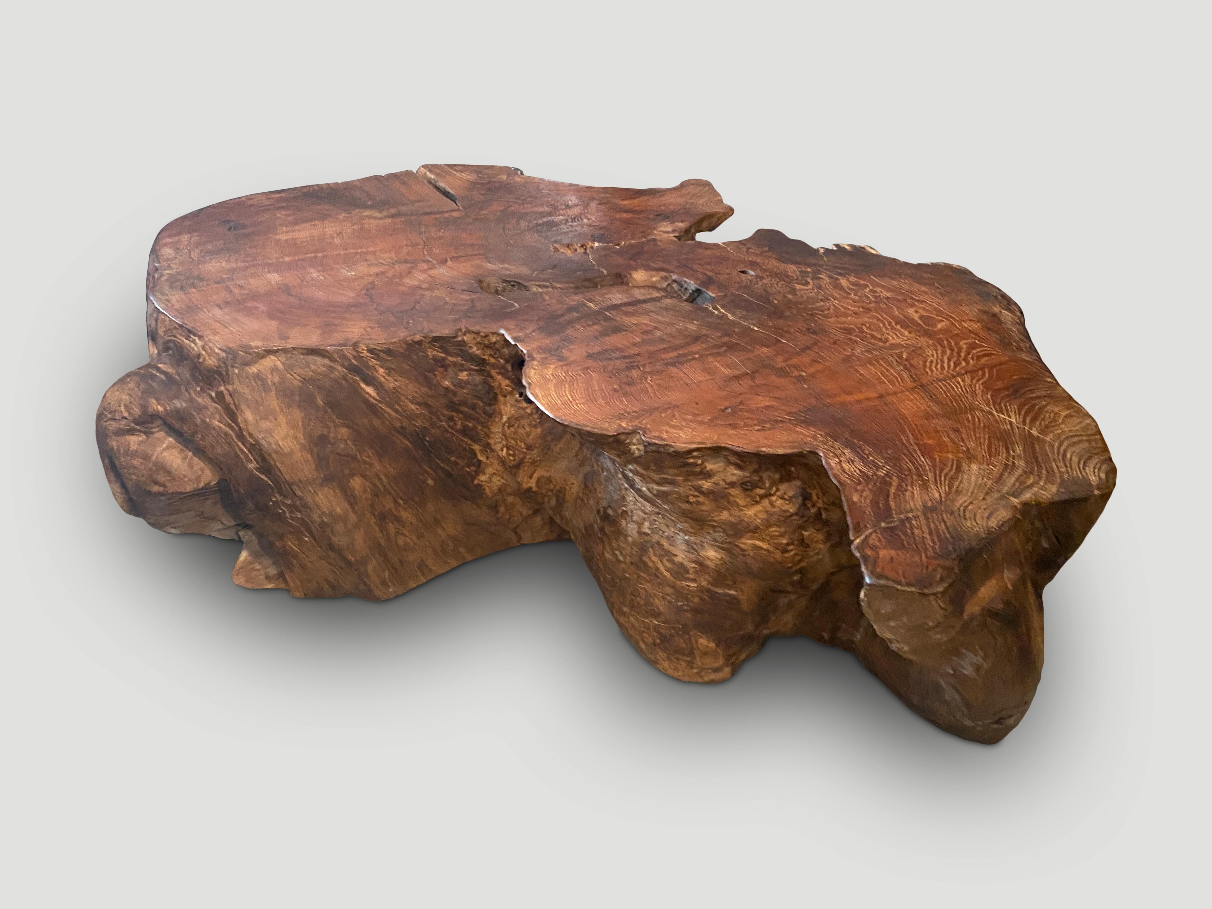 Organic Modern Andrianna Shamaris Sculptural Teak Wood Coffee Table For Sale
