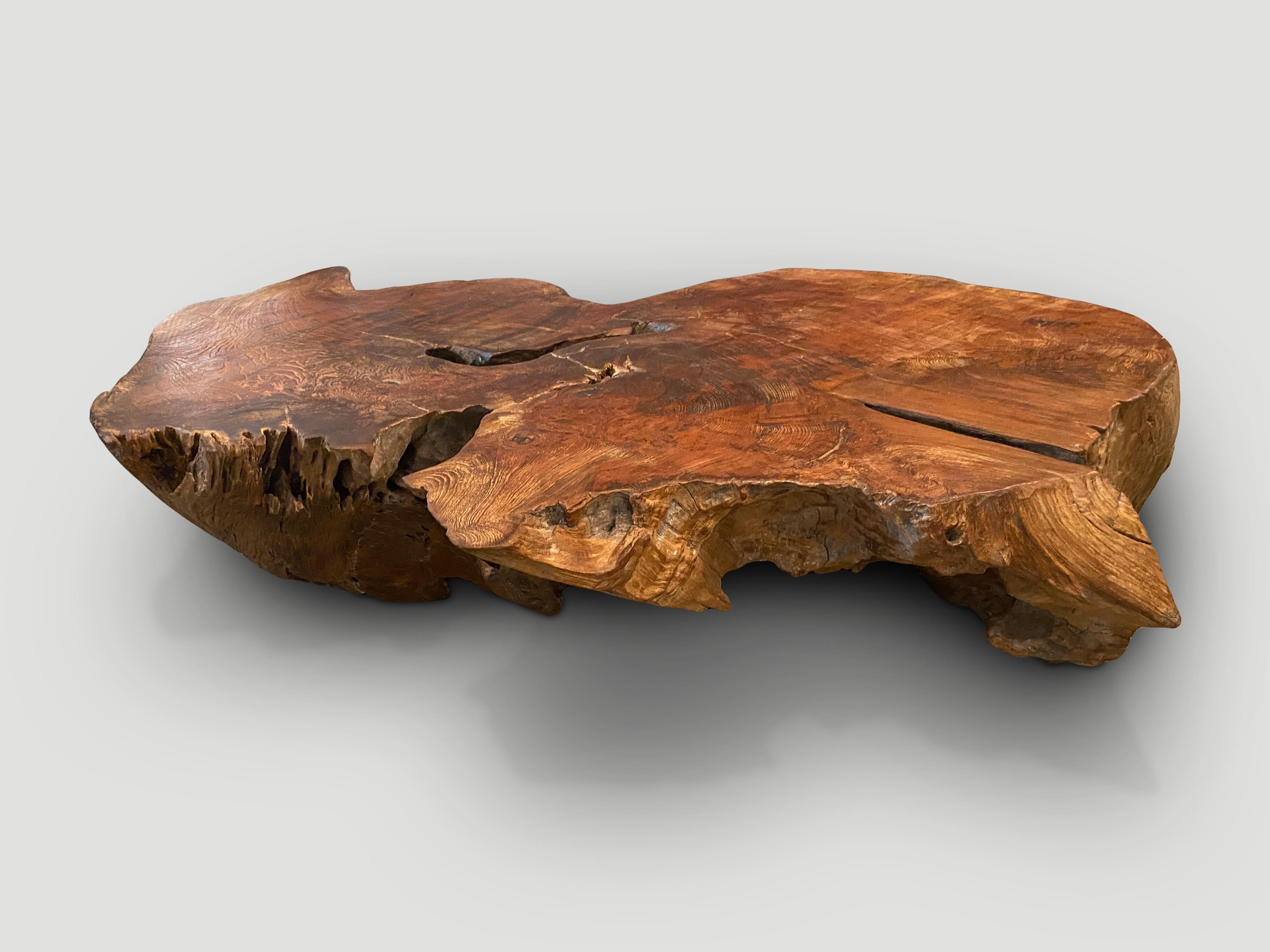 Andrianna Shamaris Sculptural Teak Wood Coffee Table In Excellent Condition For Sale In New York, NY