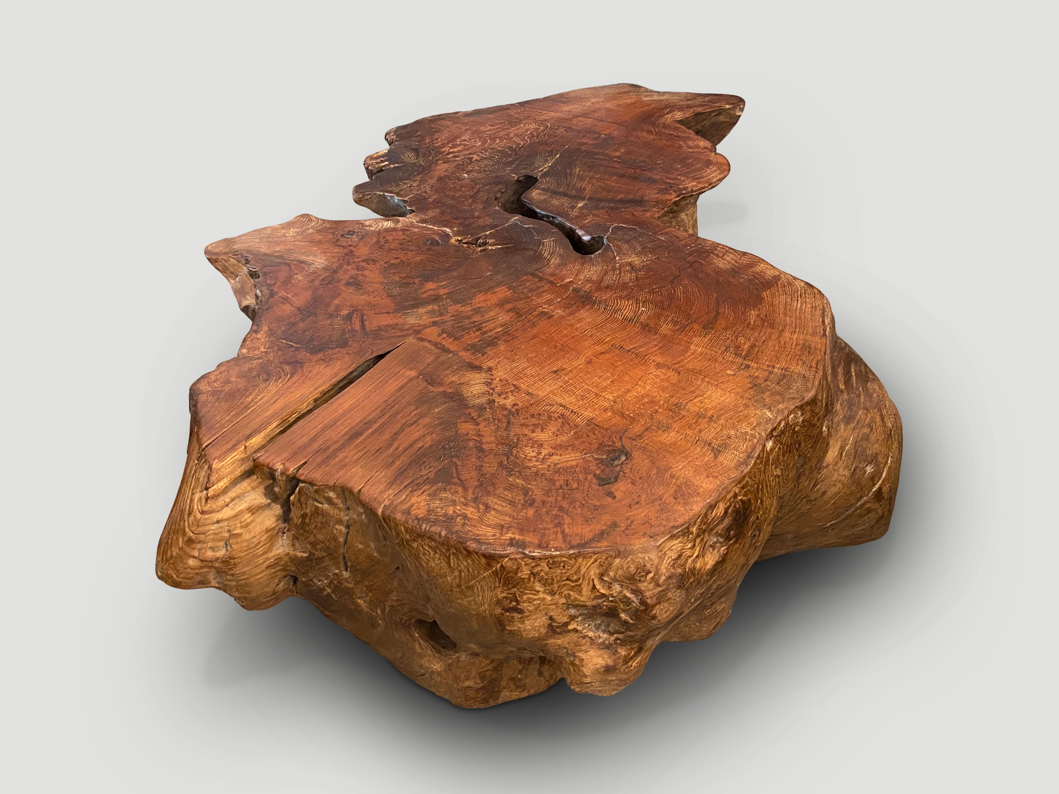 Contemporary Andrianna Shamaris Sculptural Teak Wood Coffee Table For Sale