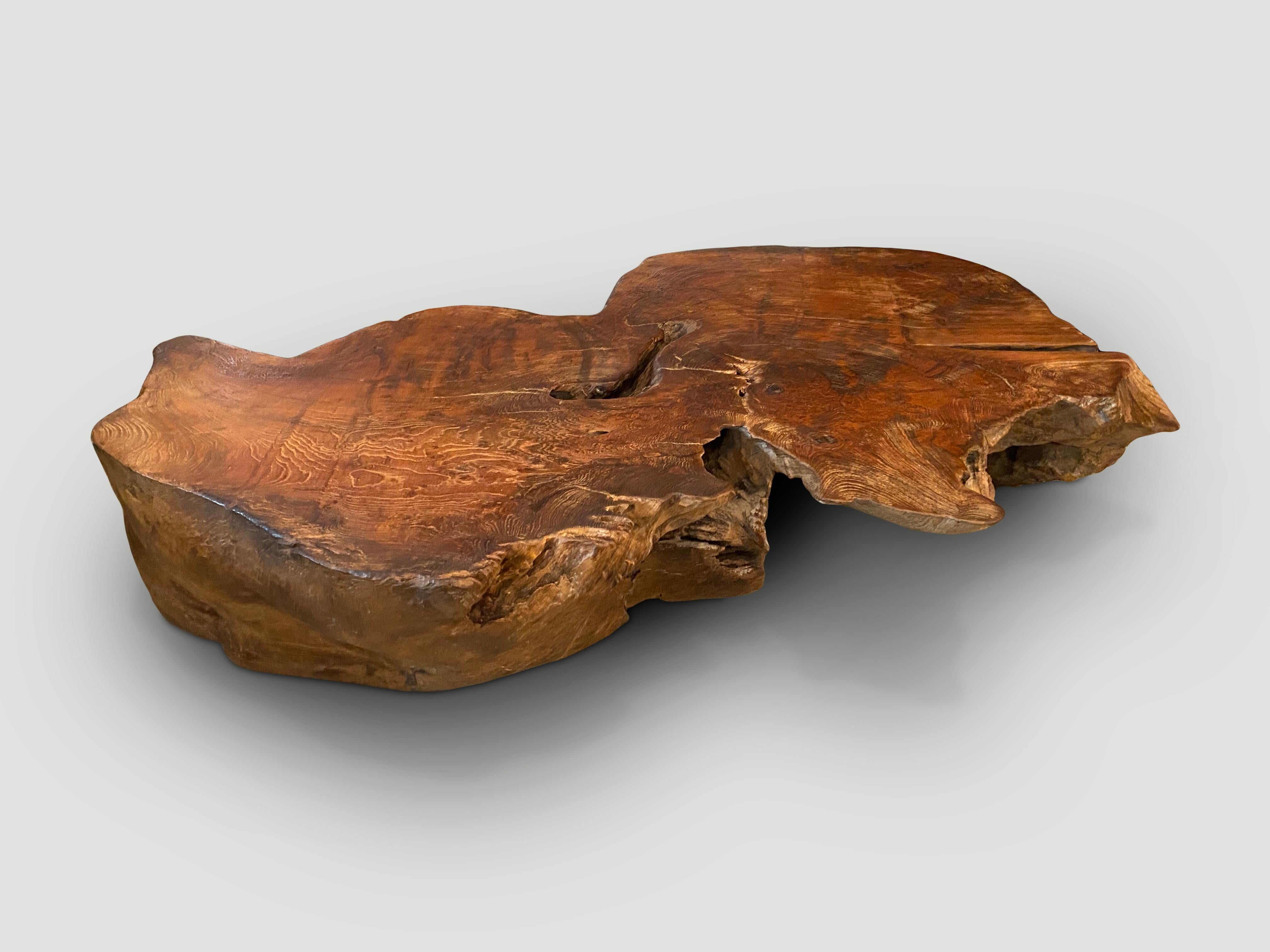 Andrianna Shamaris Sculptural Teak Wood Coffee Table For Sale 1