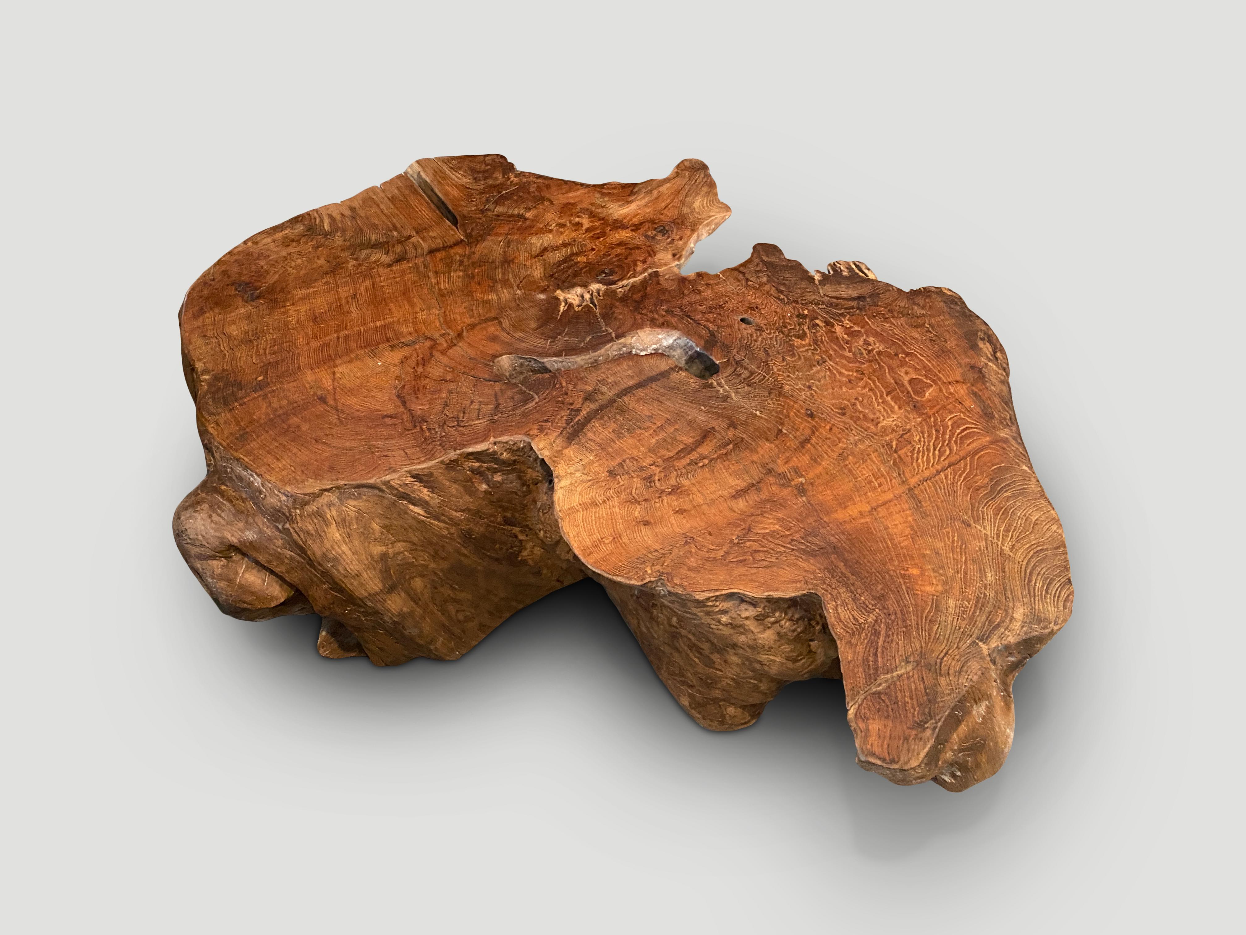 Andrianna Shamaris Sculptural Teak Wood Coffee Table For Sale 2