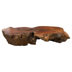 Table basse sculpturale en bois de teck Andrianna Shamaris