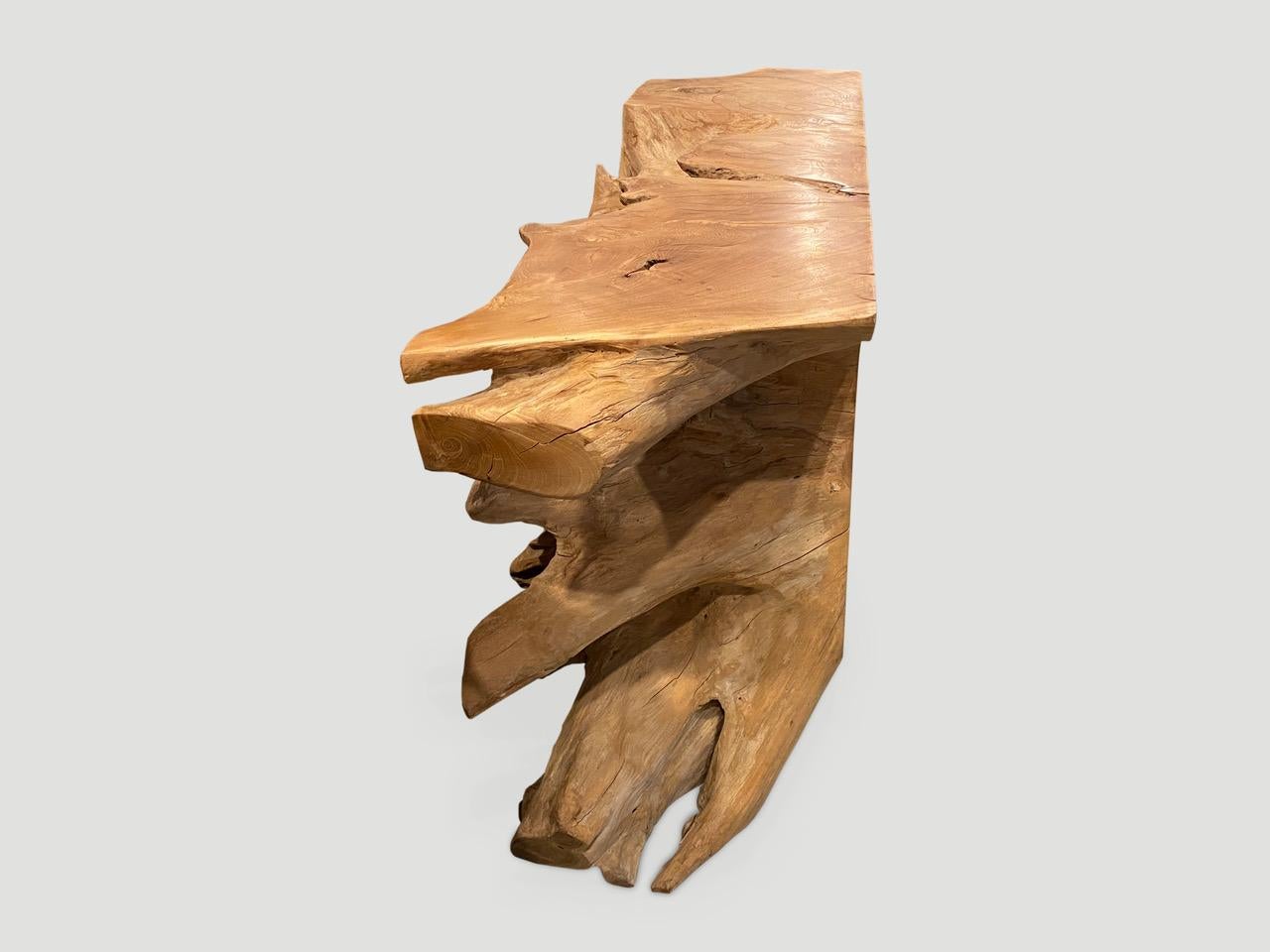 Andrianna Shamaris Sculptural Teak Wood Console Table 3
