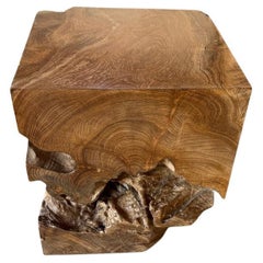 Tavolino scultoreo in Wood di Andrianna Shamaris