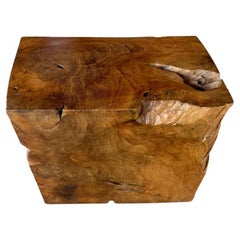 Andrianna Shamaris Sculptural Teak Wood Side Table Or Coffee Table