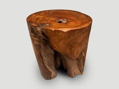 Andrianna Shamaris Sculptural Teak Wood Tray Side Table