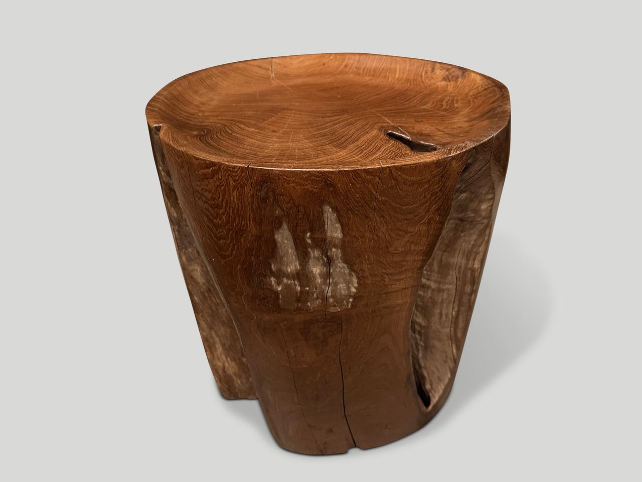 Organic Modern Andrianna Shamaris Sculptural Teak Wood Tray Side Table For Sale