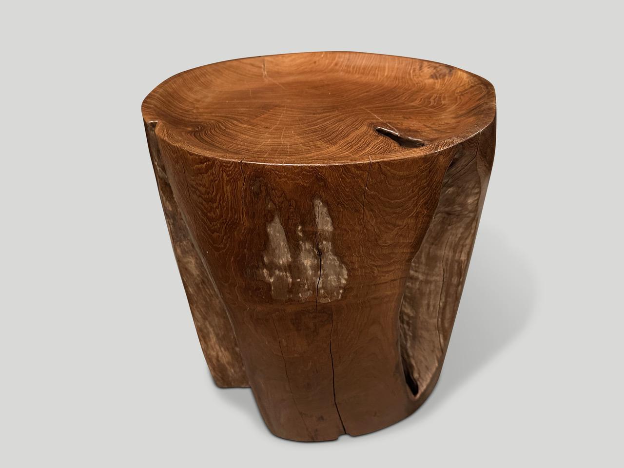Organique Table d'appoint sculpturale à plateau en bois de teck Andrianna Shamaris en vente