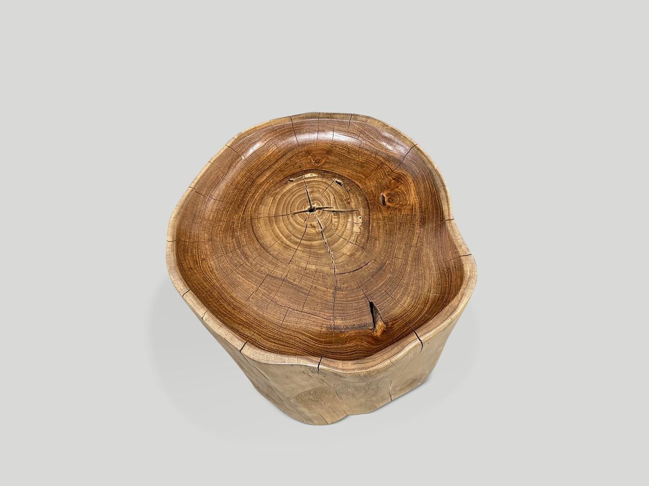 Andrianna Shamaris Sculptural Teak Wood Tray Side Table  For Sale 1