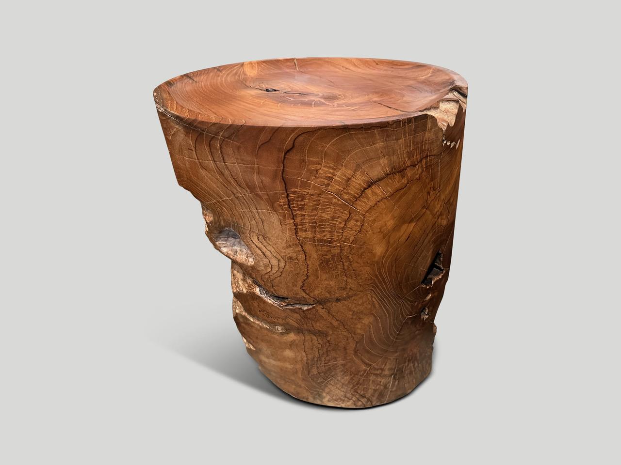 Andrianna Shamaris Sculptural Teak Wood Tray Side Table For Sale 1