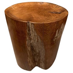 Andrianna Shamaris Sculptural Teak Wood Tray Side Table