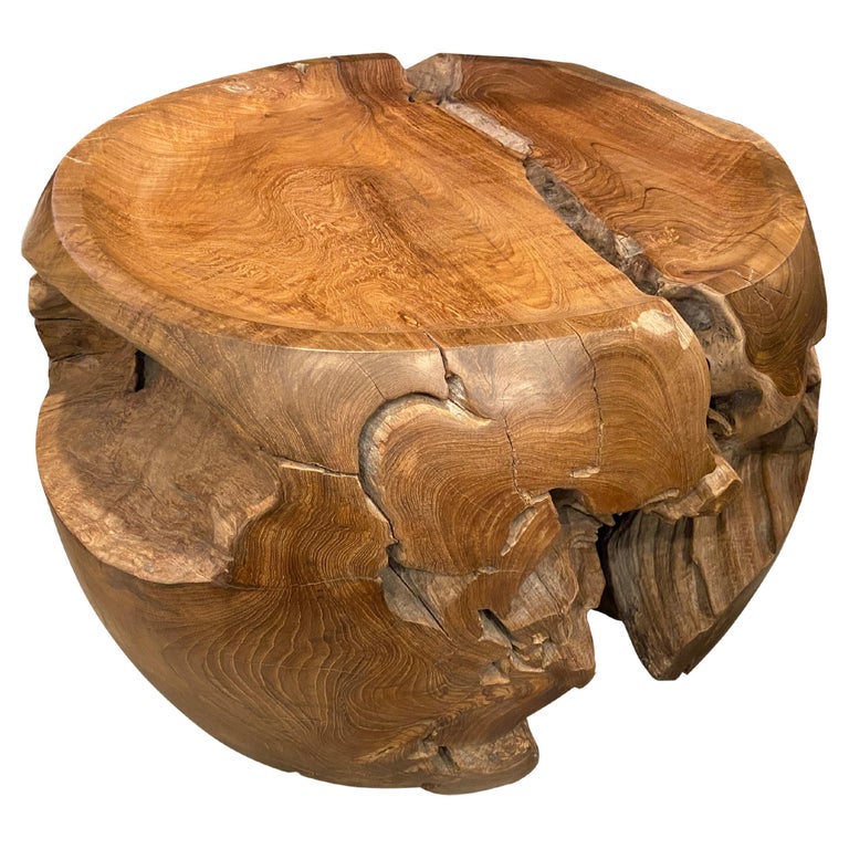 Andrianna Shamaris Sculptural Teak Wood Tray Side Table at 1stDibs