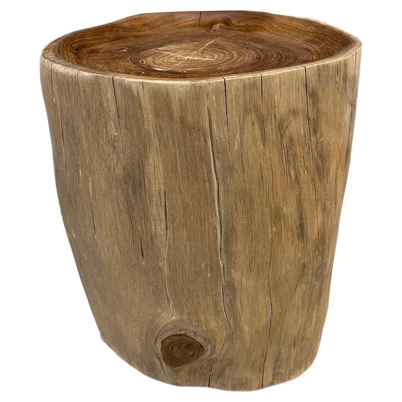 Andrianna Shamaris Sculptural Teak Wood Tray Side Table  For Sale