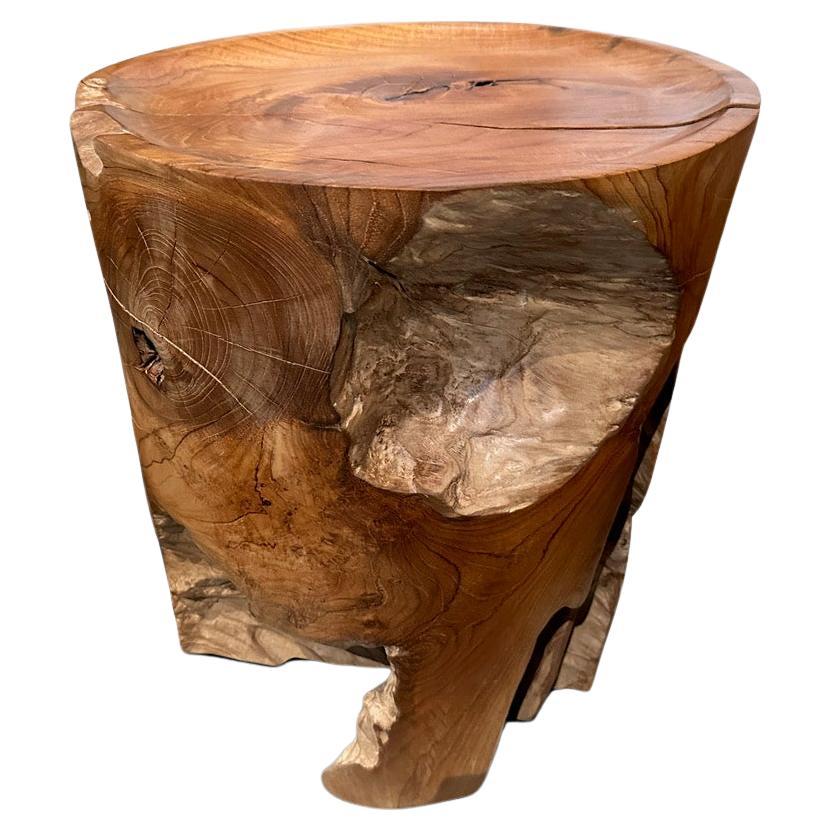 Andrianna Shamaris Sculptural Teak Wood Tray Side Table For Sale