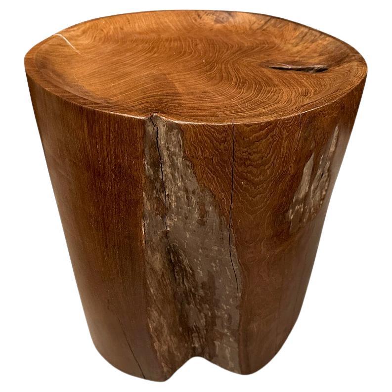 Andrianna Shamaris Sculptural Teak Wood Tray Side Table For Sale