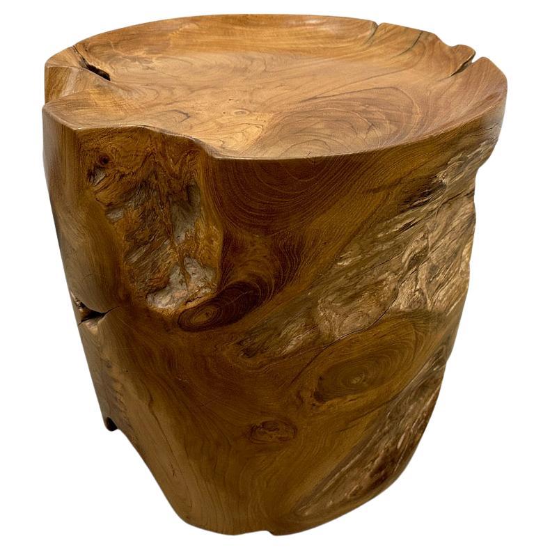 Table d'appoint sculpturale en bois de teck style plateau Andrianna Shamaris