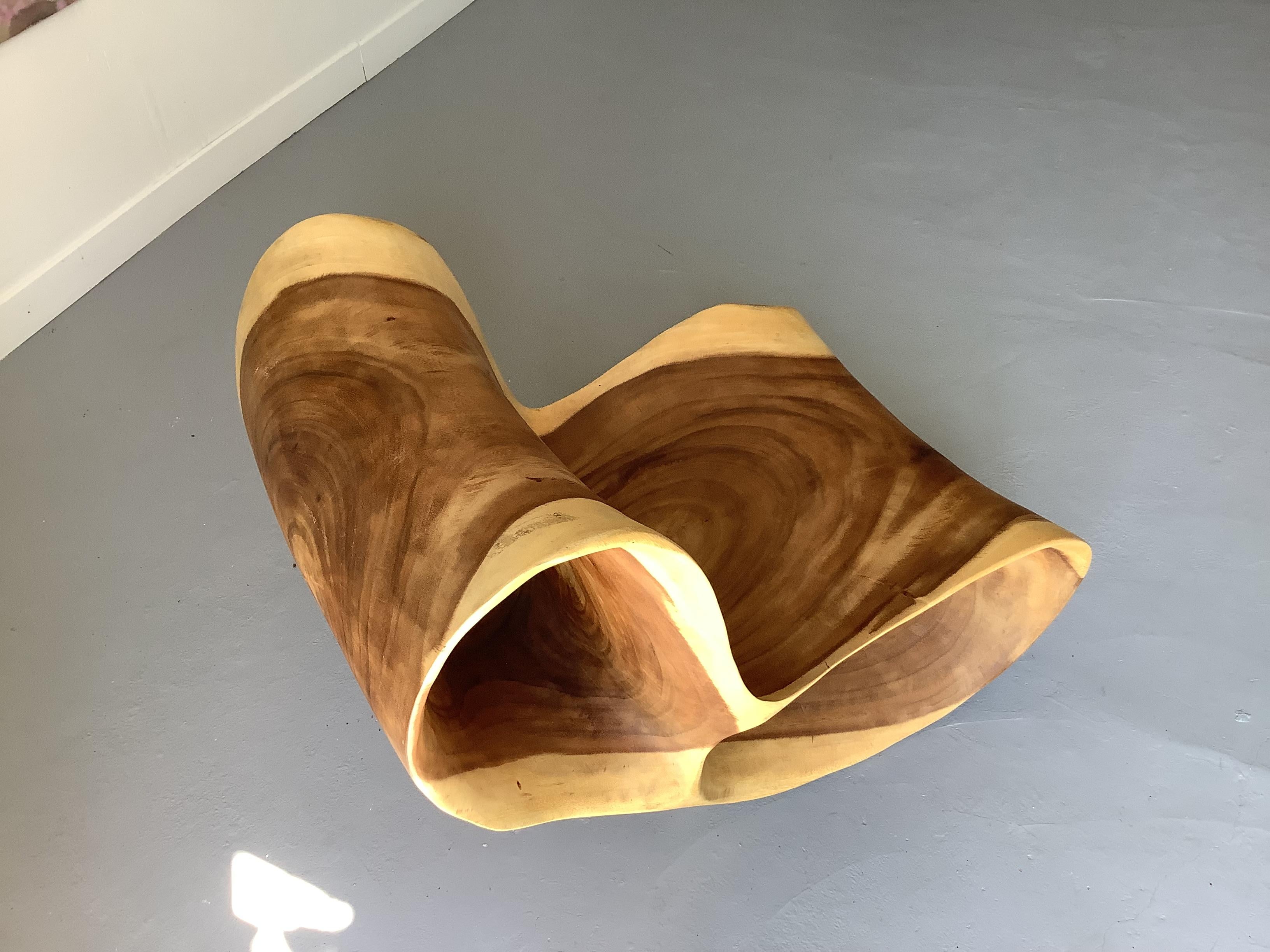 Seduta unica di Andrianna Shamaris intagliata in un unico pezzo di legno.
Lei è la più famosa e ben  noto designer nello stile organico contemporaneo.
Più che una semplice seduta, questo pezzo di legno scolpito diventa una scultura e crea
