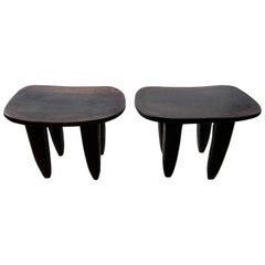 Andrianna Shamaris Senufo Stool or Bench from Cote d'Ivoire