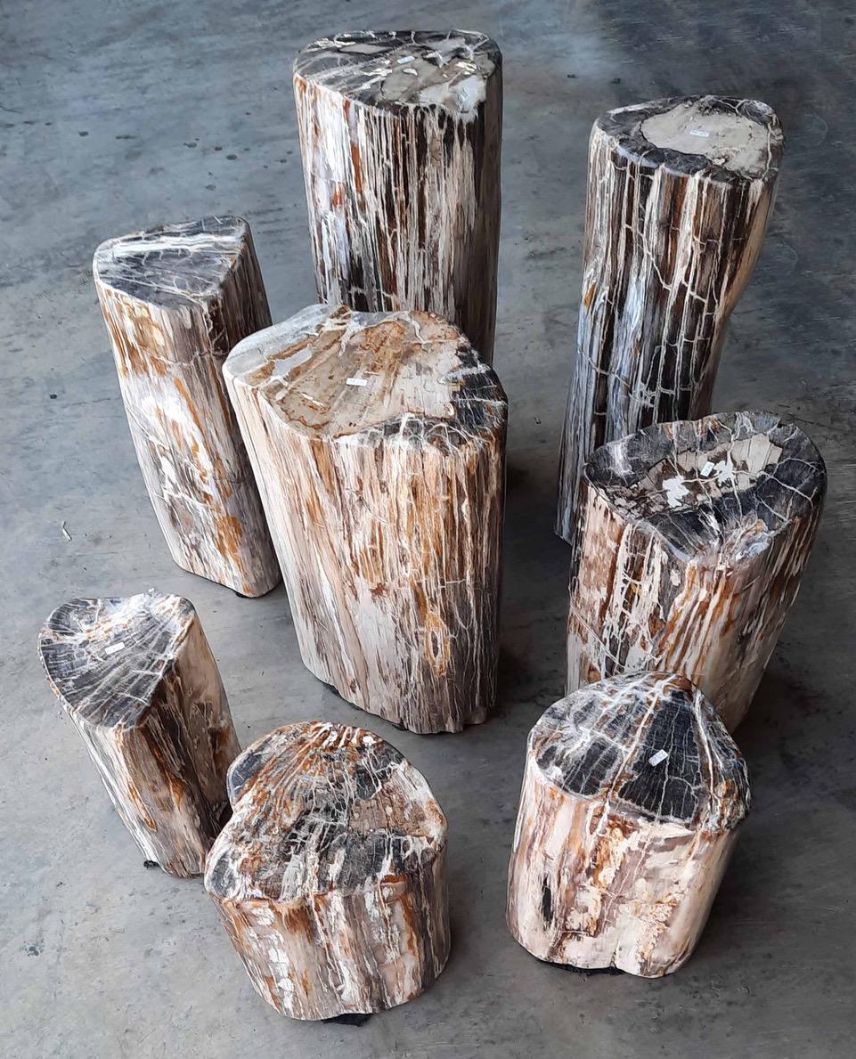 Beautiful tones in this set of side tables and pedestals, all cut from the same log. We can sell individually. Please inquire for the dimensions. The largest is 9.5 x 8 x 26