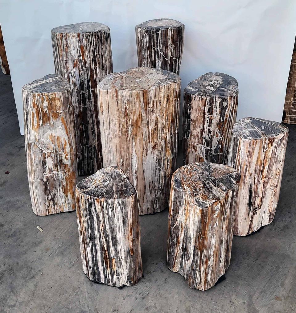 Organic Modern Andrianna Shamaris Set of 8 Petrified Wood Side Tables and Pedestals