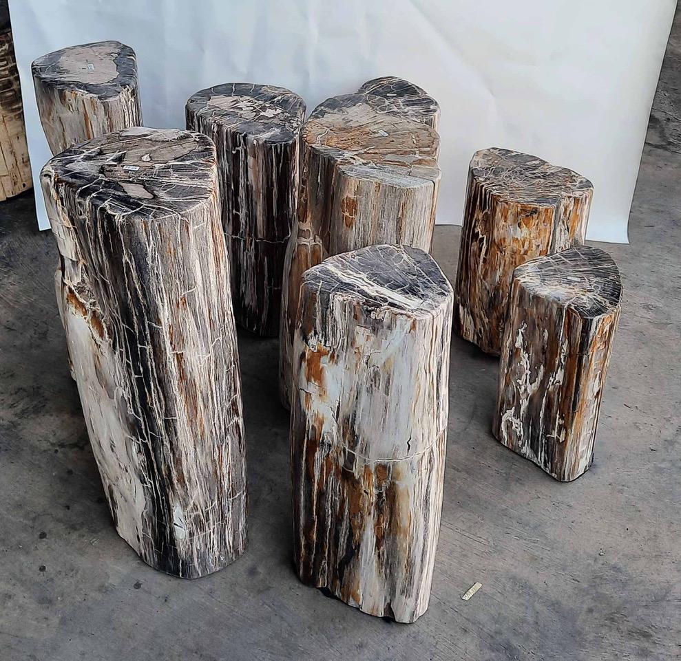 Andrianna Shamaris Set of 8 Petrified Wood Side Tables and Pedestals In Excellent Condition In New York, NY