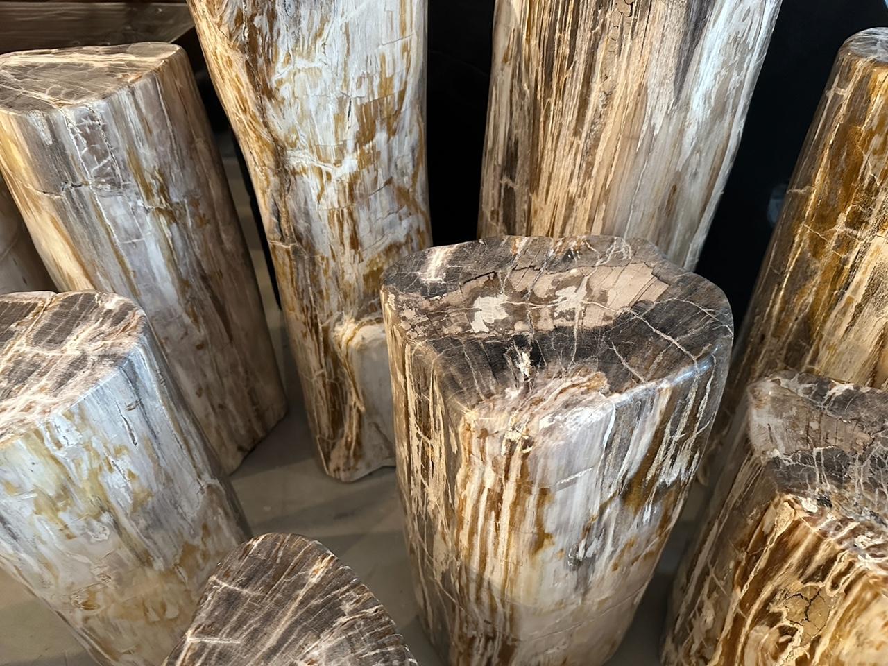 Contemporary Andrianna Shamaris Set of 8 Petrified Wood Side Tables and Pedestals