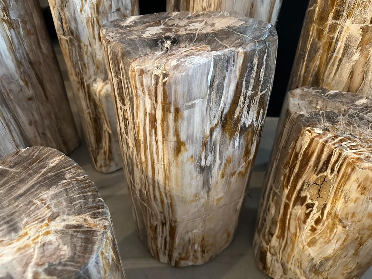 Andrianna Shamaris Set of 8 Petrified Wood Side Tables and Pedestals 1