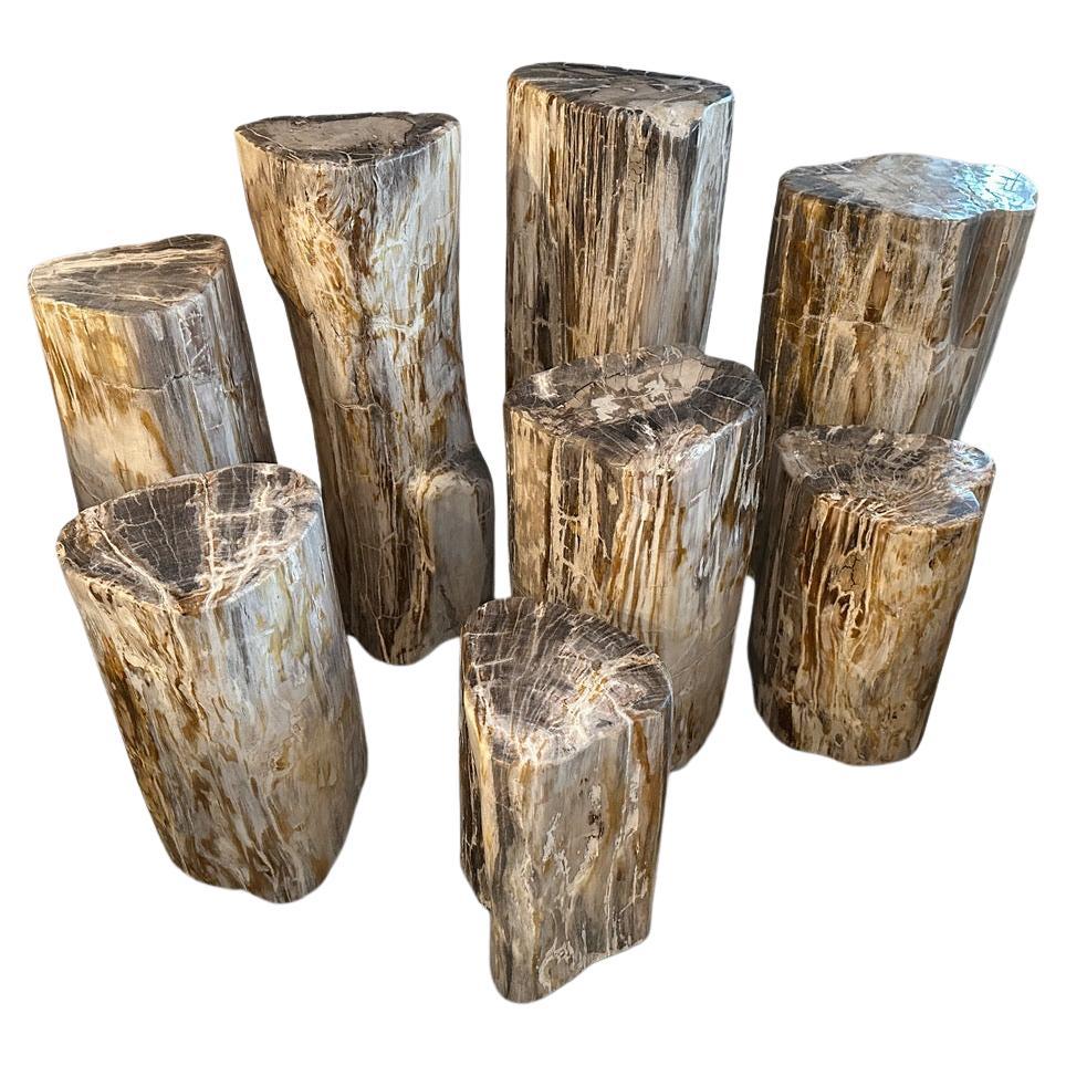 Andrianna Shamaris Set of 8 Petrified Wood Side Tables and Pedestals